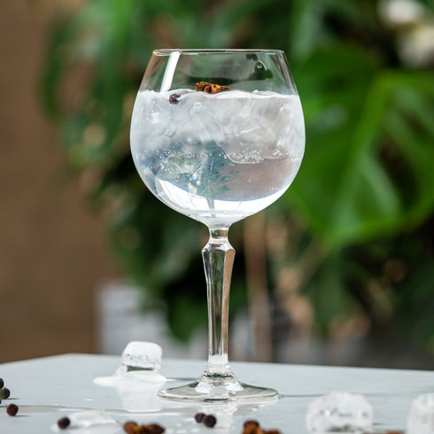 Келих для коктейлів SPKSY GIN&TONIC, 585 мл (SCU 601541)