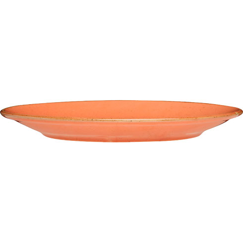 Тарілка обідня SEASONS ORANGE D24CM